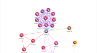 A representation of the keyword network graph tool in ShipsWeb (Photo: Yanmar Engineering)