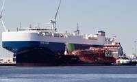 Bio-LNG Fueling (Credit: NYK)
