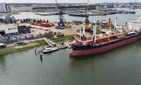 Jutlandia Swan with all four wingsails (VentoFoils) installed – ready for the next phase in the Cleanship project. © Cleanship Project