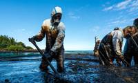 © ohrim / Adobe Stock