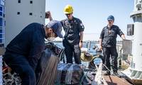 U.S. Coast Guard and Royal Canadian Navy offloaded $44.2 million worth of drugs in San Diego. (Photo: Richard Uranga / U.S. Coast Guard)