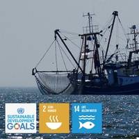 Photo: International Maritime Organization (IMO)