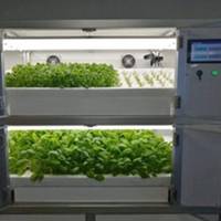 A Hydroponic Vegetable Grower for Ship Image courtesy: Tokei Kaiun