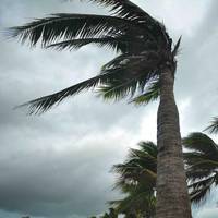 © Adobe Stock/behindlens