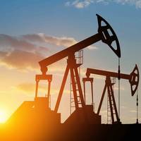 © Adobe Stock/hamara