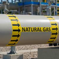  © Adobe Stock/SDF_QWE