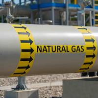 © Adobe Stock/SDF_QWE