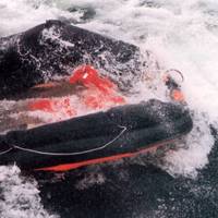 An inflatable life raft from sunken RoPax ferry Estonia (Photo: Accident Investigation Board Finland)