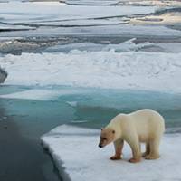 Arctic scene: Photo in public domain