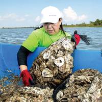 ASC volunteers bagged recycled oyster shells, then placed them in Galveston Bay to form new oyster reefs. Photo: Aramco Services Company (ASC)