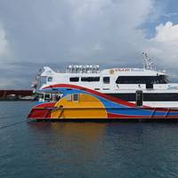 Austal Philippines has delivered Hull 420, a 30-meter high-speed catamaran named MV Seacat, to VS Grand Ferries of the Philippines (Photo: Austal)