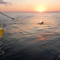 Researchers deployed time-series sediment traps 115 kilometers southeast of the nuclear power plant at depths of 500 meters and 1,000 meters. The two traps began collecting samples on July 19, 2011—130 days after the March 11 earthquake and tsunami—and were recovered and reset annually. (Makio Honda, Japan Agency for Marine-Earth Science and Technology)