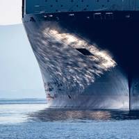 Copyright Andrea Izzotti/AdobeStock