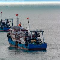 Longline Fishing Company Successfully Trials Whale