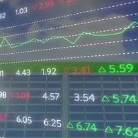 Copyright vectorfusionart/AdobeStock