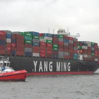 Courtest Yang Ming