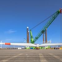 © creativenature.nl / Adobe Stock