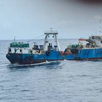 Credit: Fisheries Committee for the West Central Gulf of Guinea (File photo)