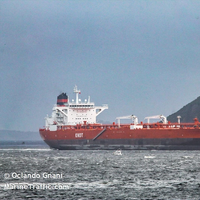 Credit: Oclando Gnani/MarineTraffic.com
