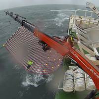 Dacon Rescue Scoop (Photo: Ocean Safety)