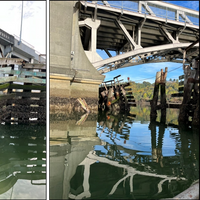 Damage to Hylebos Bridge fender system following the contact. (Source: U.S. Coast Guard)