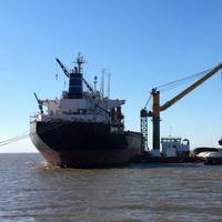 DAMEN Transshipment Crane Barge for Agribulk handling Photo Damen