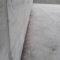 Dead weevils along a wall of a bulk terminal warehouse (Photo: ABTO)
