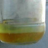 Diesel fuel sample showing water and sediment contamination. (Photo: U.S. Coast Guard)
