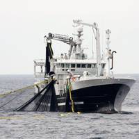 DNV GL said it is the only classification society to develop rules specifically for the US domestic fishing fleet, addressing how fishing vessels are designed, built and maintained for safety. (Photo: DNV GL)