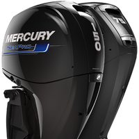 Mercury SeaPro commercial outboards (Image: Mercury Marine)