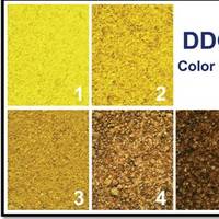 Example of a DDGS color chart from the ‘Guide to Distiller’s Dried Grains with Solubles (DDGS)’ issued by the United States Grains Council. (Source: http://www.nepia.com/our-services/loss-prevention/signals-online/cargo/ddgs-to-china/ddgs-to-china-be-aware-and-be-prepared/)