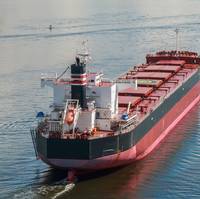 File Image / AdobeStock / © Volodymyr Kyrylyuk