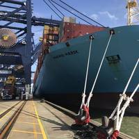 File Image: The Madrid Maersk, a 20,000+ TEU Box ship (CREDIT: HR Wallingford)