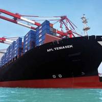 File Pic: Neptune Orient Lines Ltd