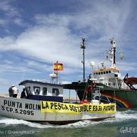 Fishing Law Reform:Image courtesy of Greenpeace