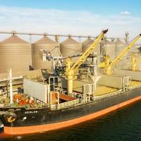 For Illustration Only - A bulk carrier loading grain in Ukraine in 2021 - Credit: Elena/AdobeStock