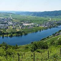 Germany's mosel river (c) Petrus / Adobestock