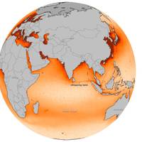 Global NOx Map: Image credit NASA