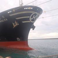'Hanjin Malta': Photo credit Diana Containerships