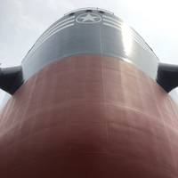 Image: 2020 Bulkers