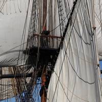 Image: Friends of Hermione-Lafayette in America