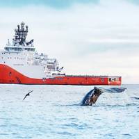 Image: Gazprom Neft