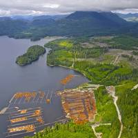 Image: Steelhead LNG