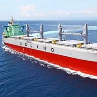 Image: Tsuneishi Shipbuilding