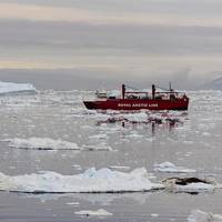 Image: WWF Arctic