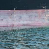 Pic: International Maritime Organization (IMO)