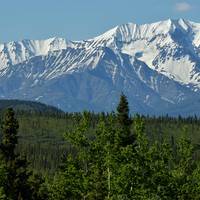 © JT Fisherman / Adobe Stock