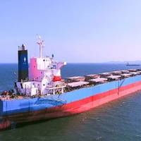 (L-R) Shail Al Rayyan and Shail Al Dukhan. Photos: S'hail Shipping and Maritime Services