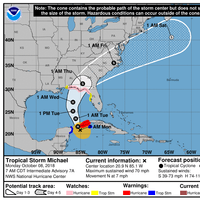 Micheal's projected track line (CREDIT: NHC)
