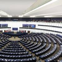 © misu / Adobe Stock